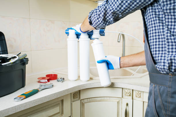 istockphoto-1502418508-612x612-1 (4)
